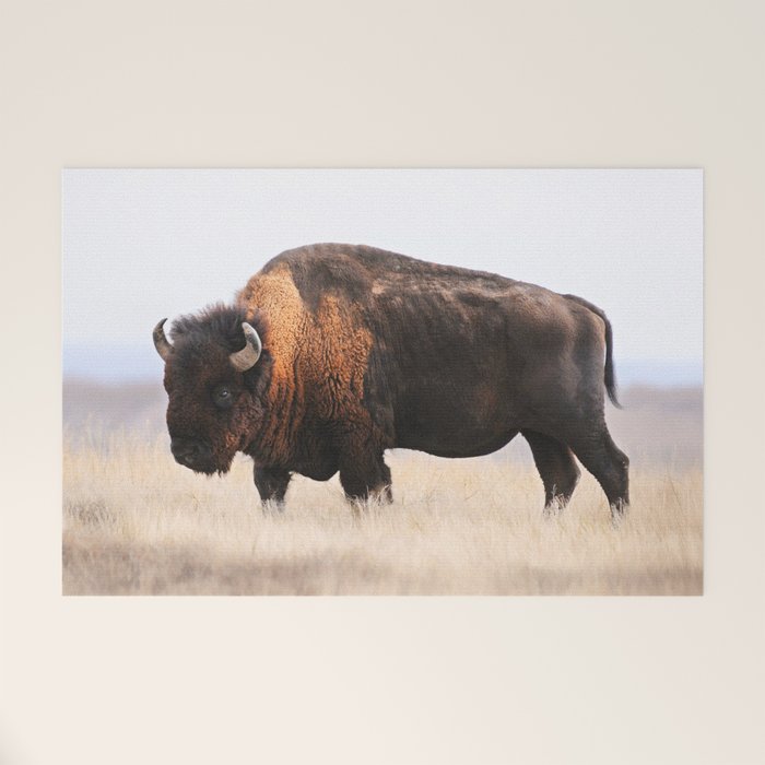 Bison Whisper Welcome Mat Gallery Image 1