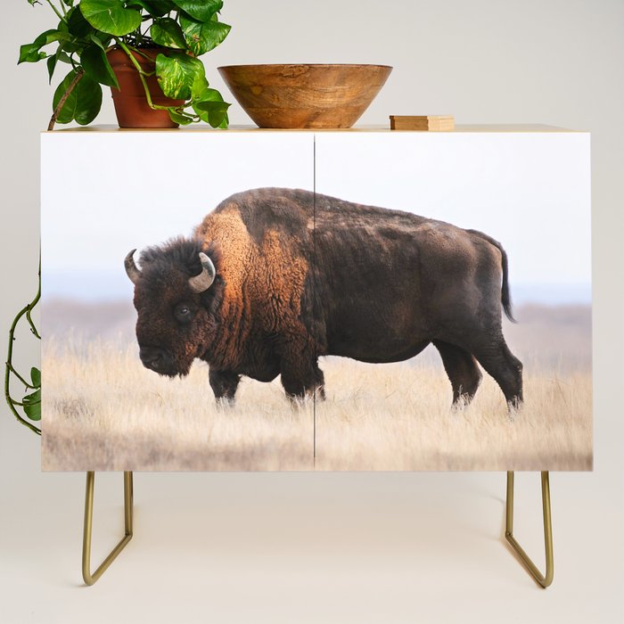 Bison Whisper Credenza Gallery Image 1