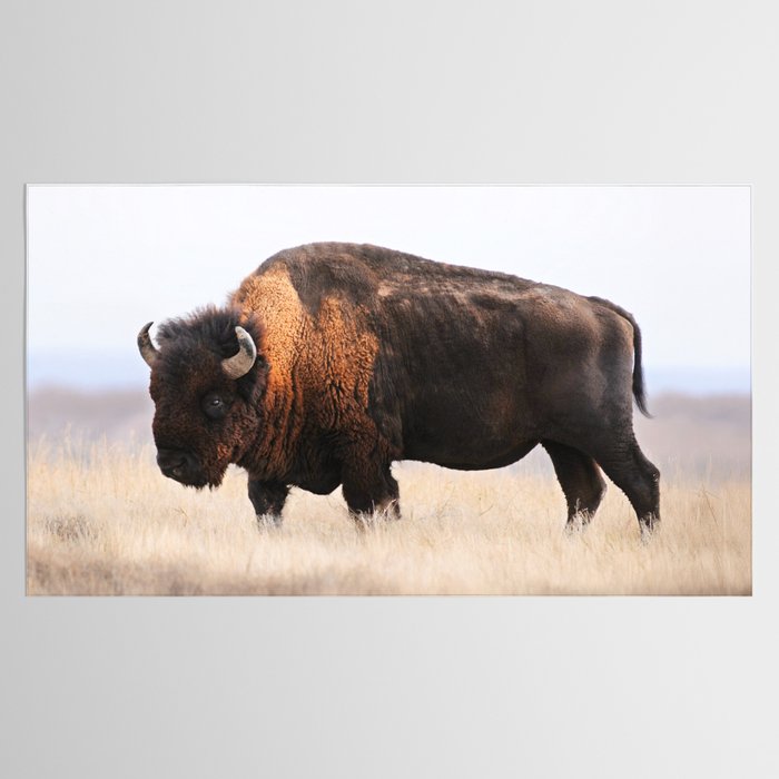 Bison Whisper Tablecloth Gallery Image 2