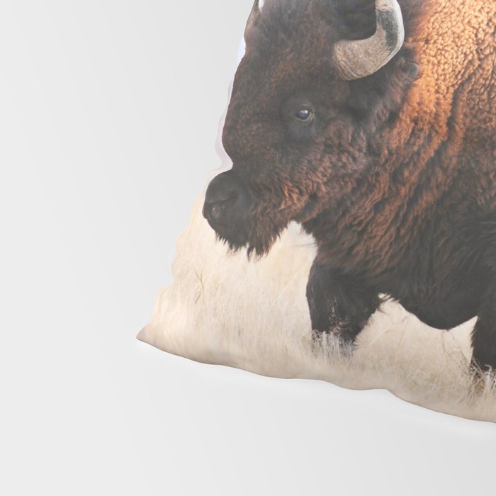 Bison Whisper Pillow Sham Gallery Image 4