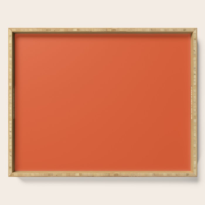 Burnt Orange Solid Serving Tray Gallery Image 1