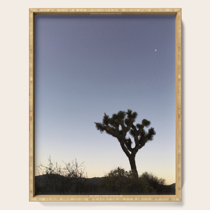JOSHUA TREE II Serving Tray Gallery Image 1
