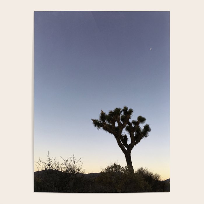 JOSHUA TREE II Poster Gallery Image 4