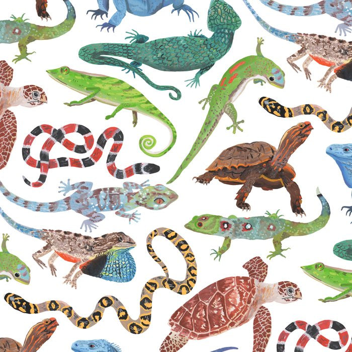 Endangered Reptiles Around the World Coffee Mug Gallery Image 2
