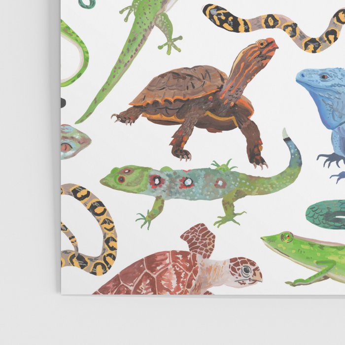 Endangered Reptiles Around the World Poster Gallery Image 3