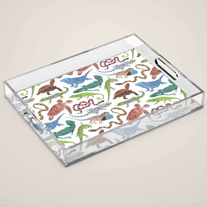 Endangered Reptiles Around the World Acrylic Tray Gallery Image 1