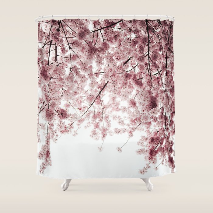 Cherry Blossoms Shower Curtain Gallery Image 1