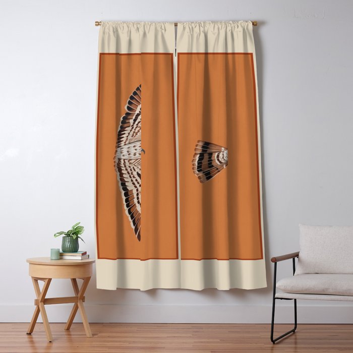Hawk in Still Flight Window Curtain Gallery Image 5