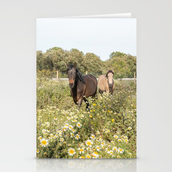 Horses in a Field of Wildflowers | Portugal Travel Art Print | Animal Photography in Europe Stationery Card Gallery Image 2