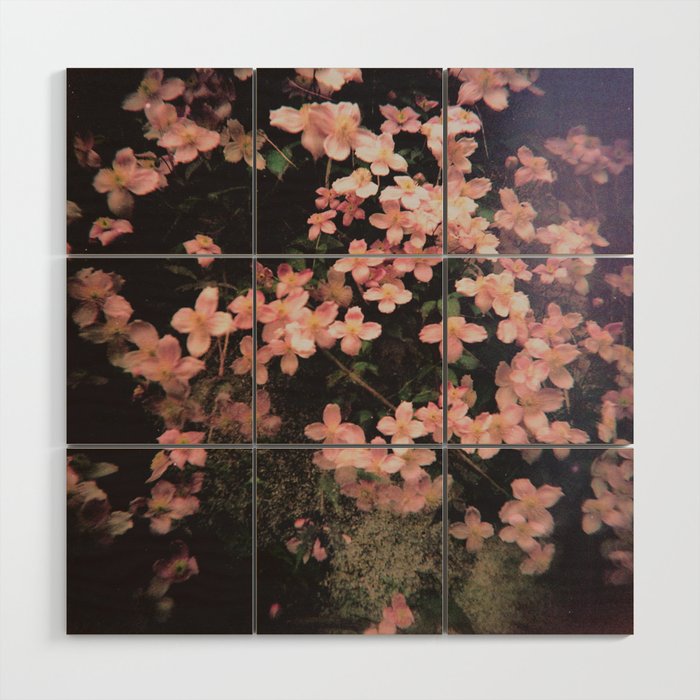 She Hangs Brightly Wood Wall Art Gallery Image 1