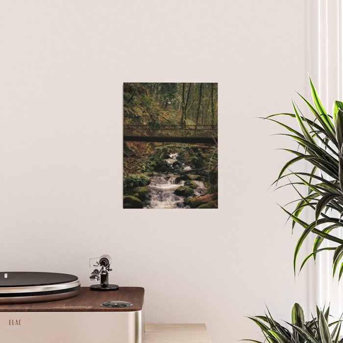 Balch Creek Poster Gallery Image 2