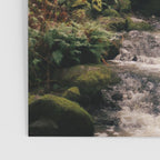 Balch Creek Poster Gallery Image 3