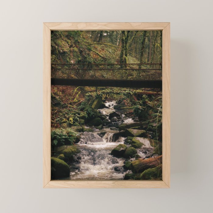 Balch Creek Mini Art Print Gallery Image 1