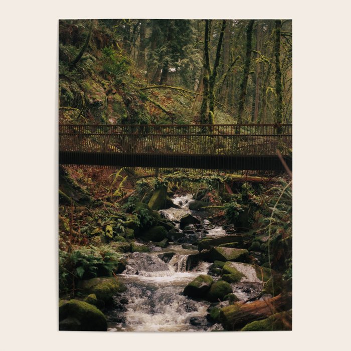 Balch Creek Poster Gallery Image 4