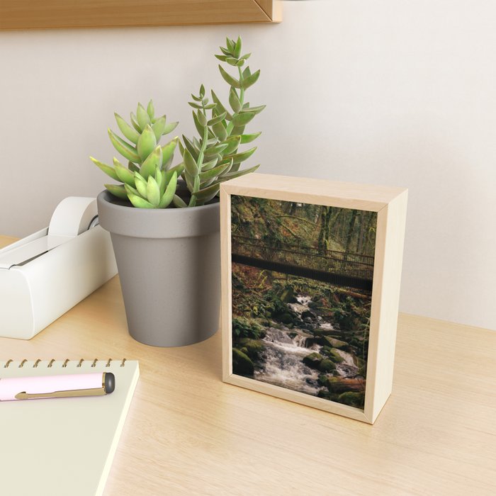 Balch Creek Mini Art Print Gallery Image 2