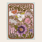 Tennessee Wildflowers Poster Gallery Image 4