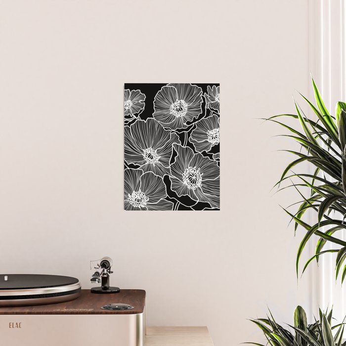 Black and White Poppies Poster Gallery Image 2