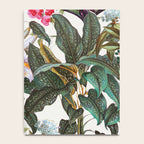 Tropical Toucan Garden Notebook Gallery Image 4