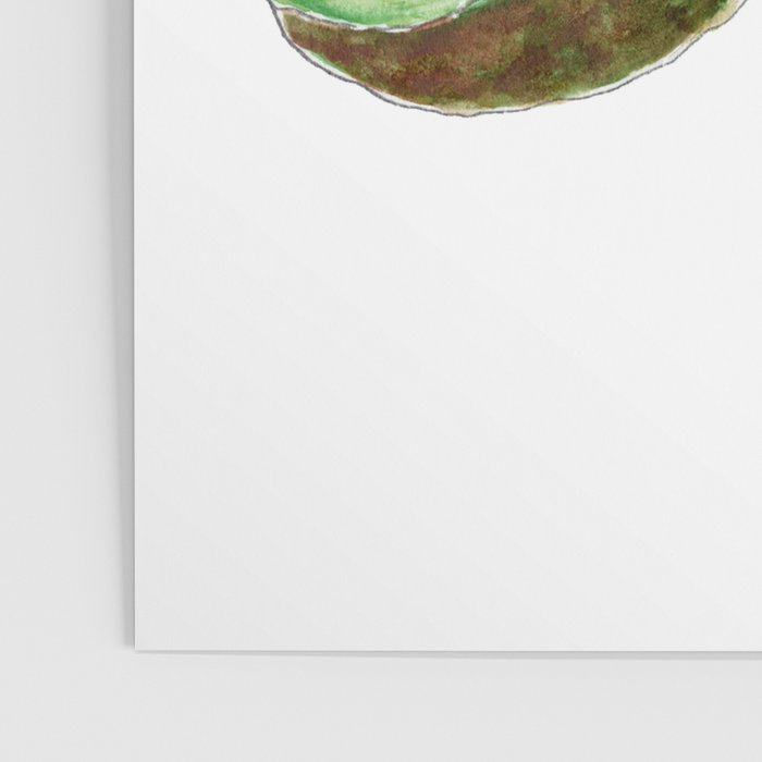 Avocado Nyancoã- Avocado kitty - Poster Gallery Image 3