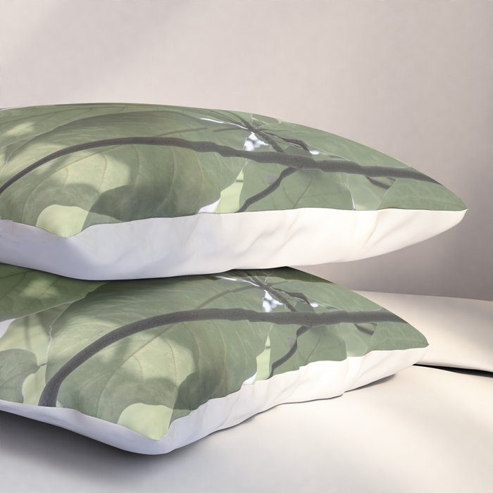 Sage green botanical art print - soft green leaves - nature and travel photography Pillow Sham Gallery Image 3