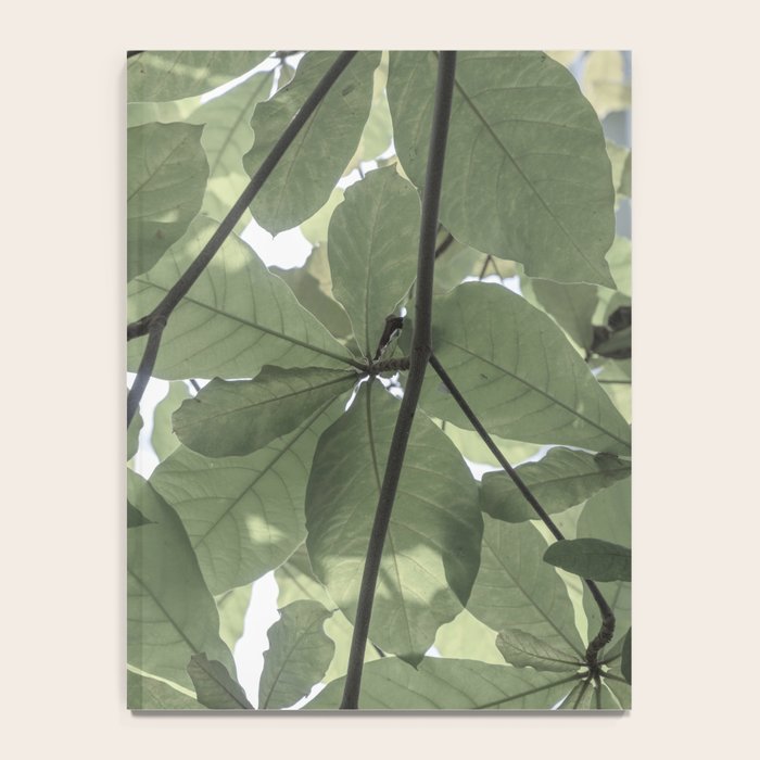 Sage green botanical art print - soft green leaves - nature and travel photography Notebook Gallery Image 4