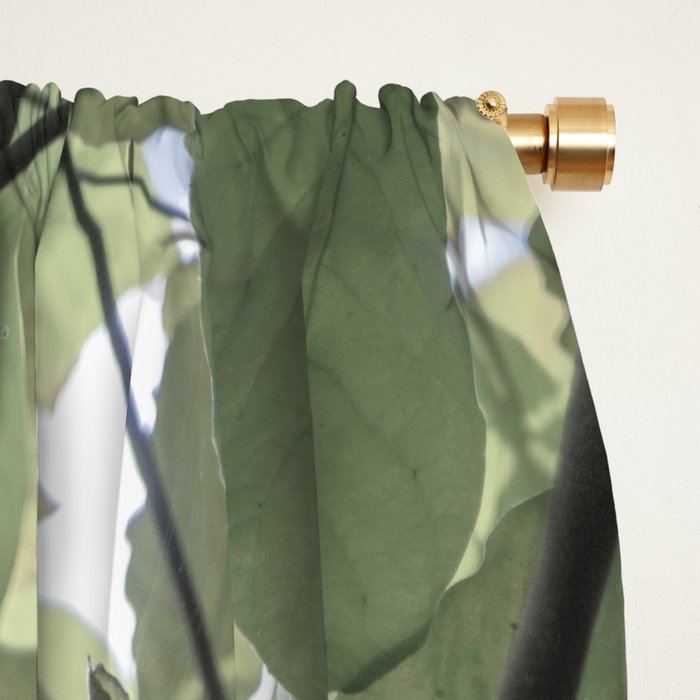 Sage green botanical art print - soft green leaves - nature and travel photography Window Curtain Gallery Image 2