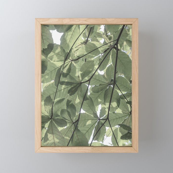 Sage green botanical art print - soft green leaves - nature and travel photography Mini Art Print Gallery Image 1