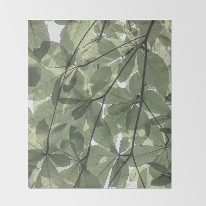 Sage green botanical art print - soft green leaves - nature and travel photography Throw Blanket Gallery Image 2