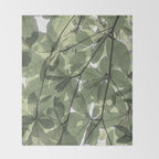 Sage green botanical art print - soft green leaves - nature and travel photography Throw Blanket Gallery Image 2
