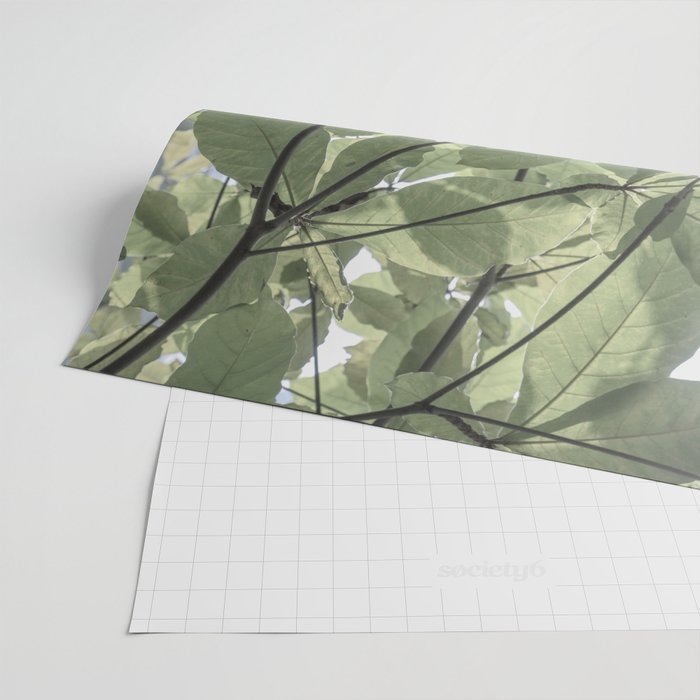 Sage green botanical art print - soft green leaves - nature and travel photography Wrapping Paper Gallery Image 2