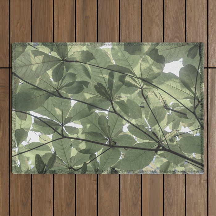 Sage green botanical art print - soft green leaves - nature and travel photography Outdoor Rug Gallery Image 1