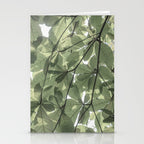 Sage green botanical art print - soft green leaves - nature and travel photography Stationery Card Gallery Image 2