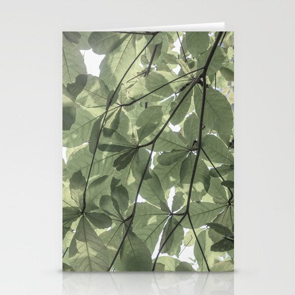 Sage green botanical art print - soft green leaves - nature and travel photography Stationery Card Gallery Image 2