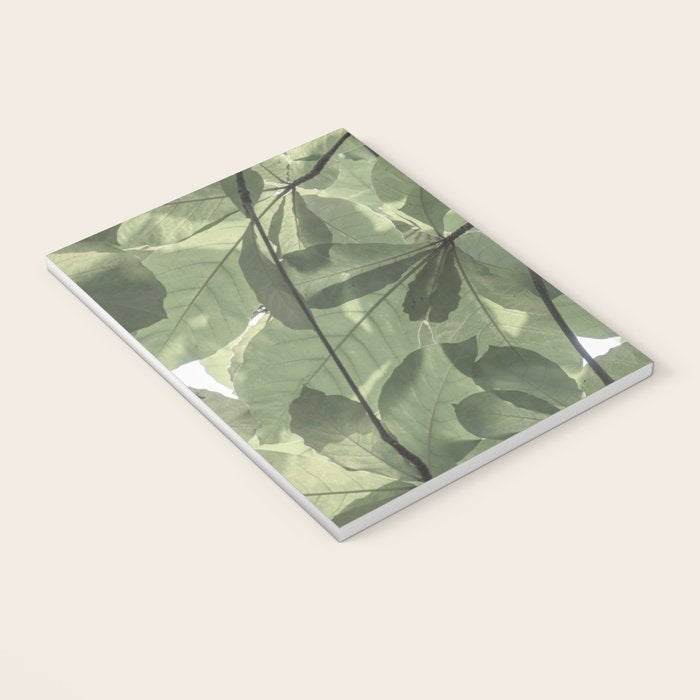 Sage green botanical art print - soft green leaves - nature and travel photography Notebook Gallery Image 3