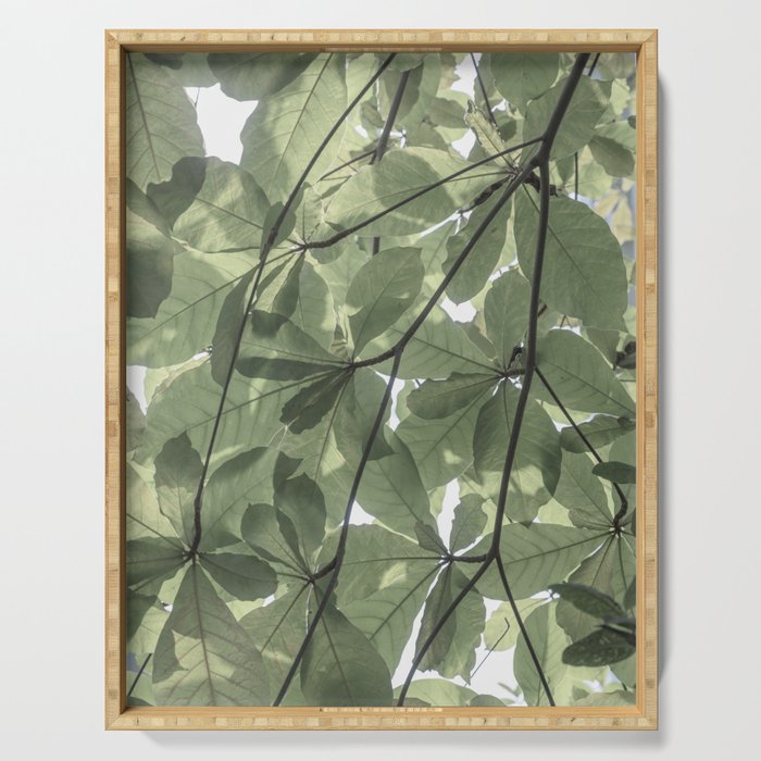 Sage green botanical art print - soft green leaves - nature and travel photography Serving Tray Gallery Image 1