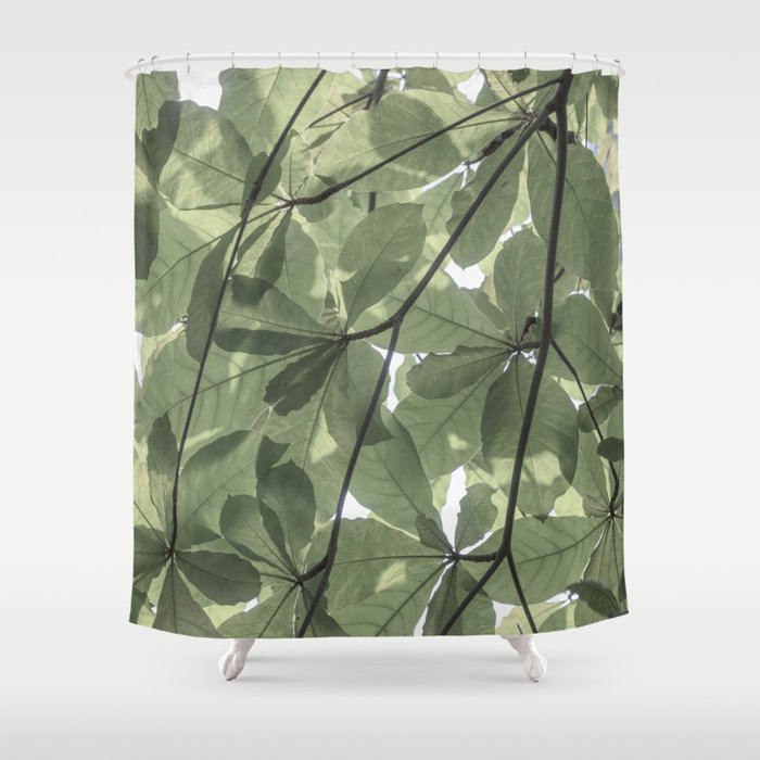 Sage green botanical art print - soft green leaves - nature and travel photography Shower Curtain Gallery Image 1