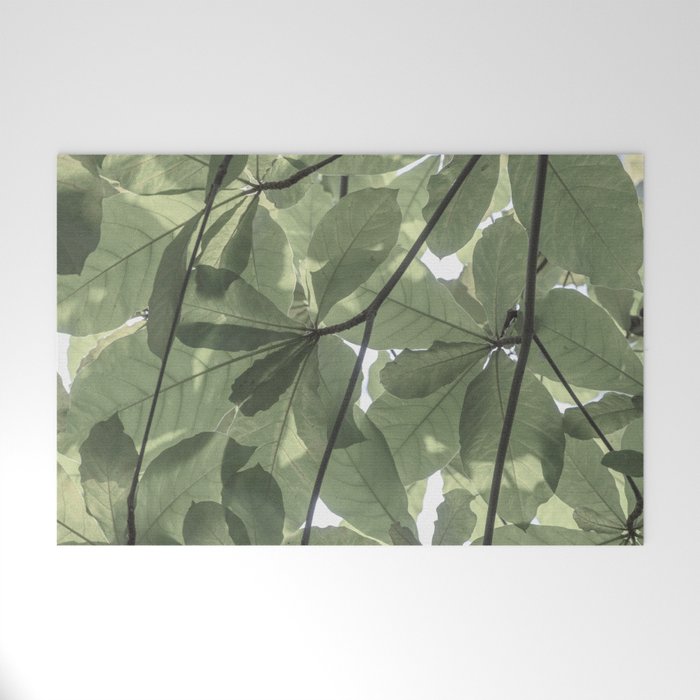 Sage green botanical art print - soft green leaves - nature and travel photography Welcome Mat Gallery Image 1