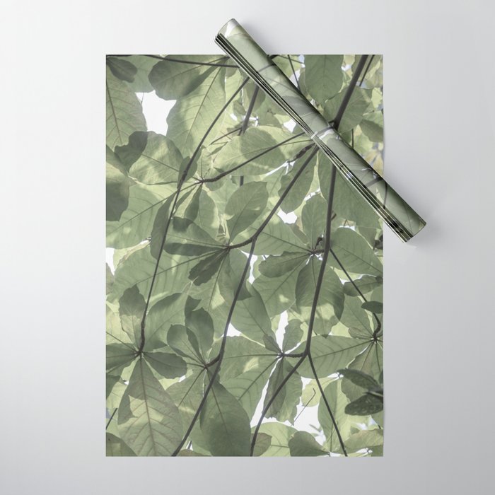 Sage green botanical art print - soft green leaves - nature and travel photography Wrapping Paper Gallery Image 1