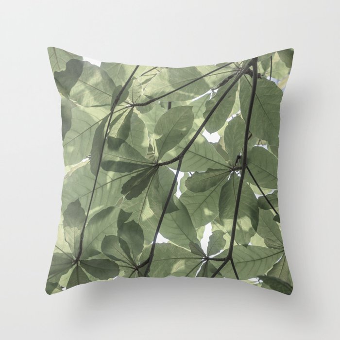 Sage green botanical art print - soft green leaves - nature and travel photography Throw Pillow Gallery Image 6