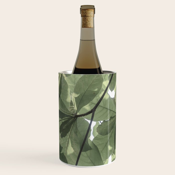 Sage green botanical art print - soft green leaves - nature and travel photography Wine Chiller Gallery Image 1