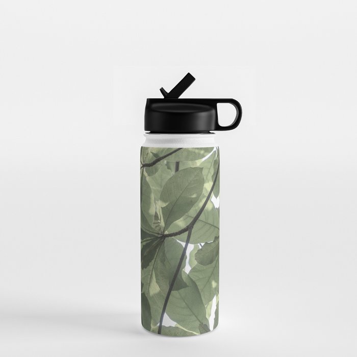 Sage green botanical art print - soft green leaves - nature and travel photography Water Bottle Gallery Image 1