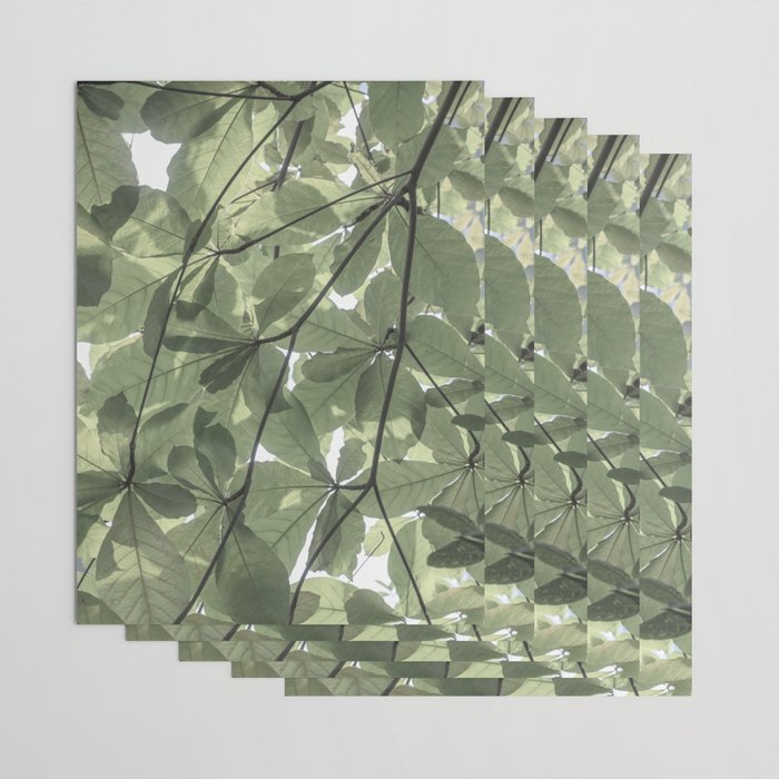 Sage green botanical art print - soft green leaves - nature and travel photography Wrapping Paper Gallery Image 3