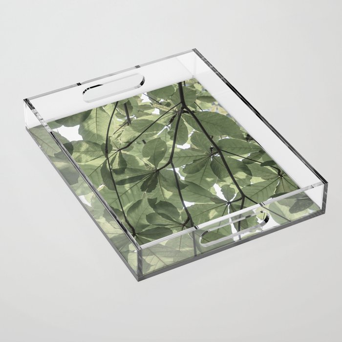 Sage green botanical art print - soft green leaves - nature and travel photography Acrylic Tray Gallery Image 1