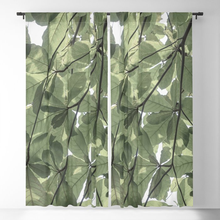 Sage green botanical art print - soft green leaves - nature and travel photography Window Curtain Gallery Image 1