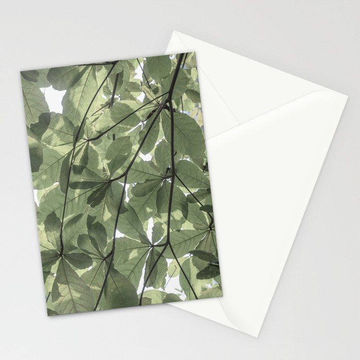 Sage green botanical art print - soft green leaves - nature and travel photography Stationery Card Gallery Image 2