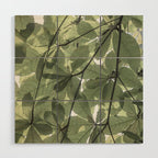 Sage green botanical art print - soft green leaves - nature and travel photography Wood Wall Art Gallery Image 1