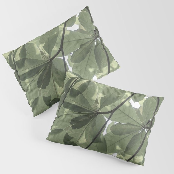 Sage green botanical art print - soft green leaves - nature and travel photography Pillow Sham Gallery Image 1