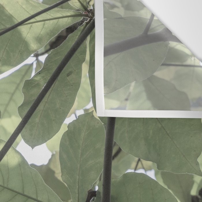 Sage green botanical art print - soft green leaves - nature and travel photography Wall Tapestry Gallery Image 3