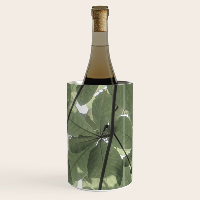 Sage green botanical art print - soft green leaves - nature and travel photography Wine Chiller Gallery Image 3