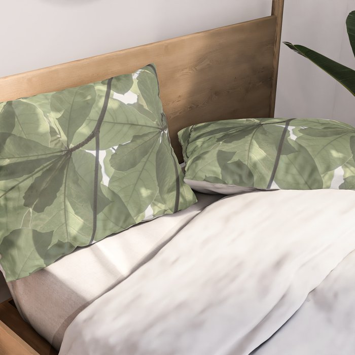 Sage green botanical art print - soft green leaves - nature and travel photography Pillow Sham Gallery Image 2